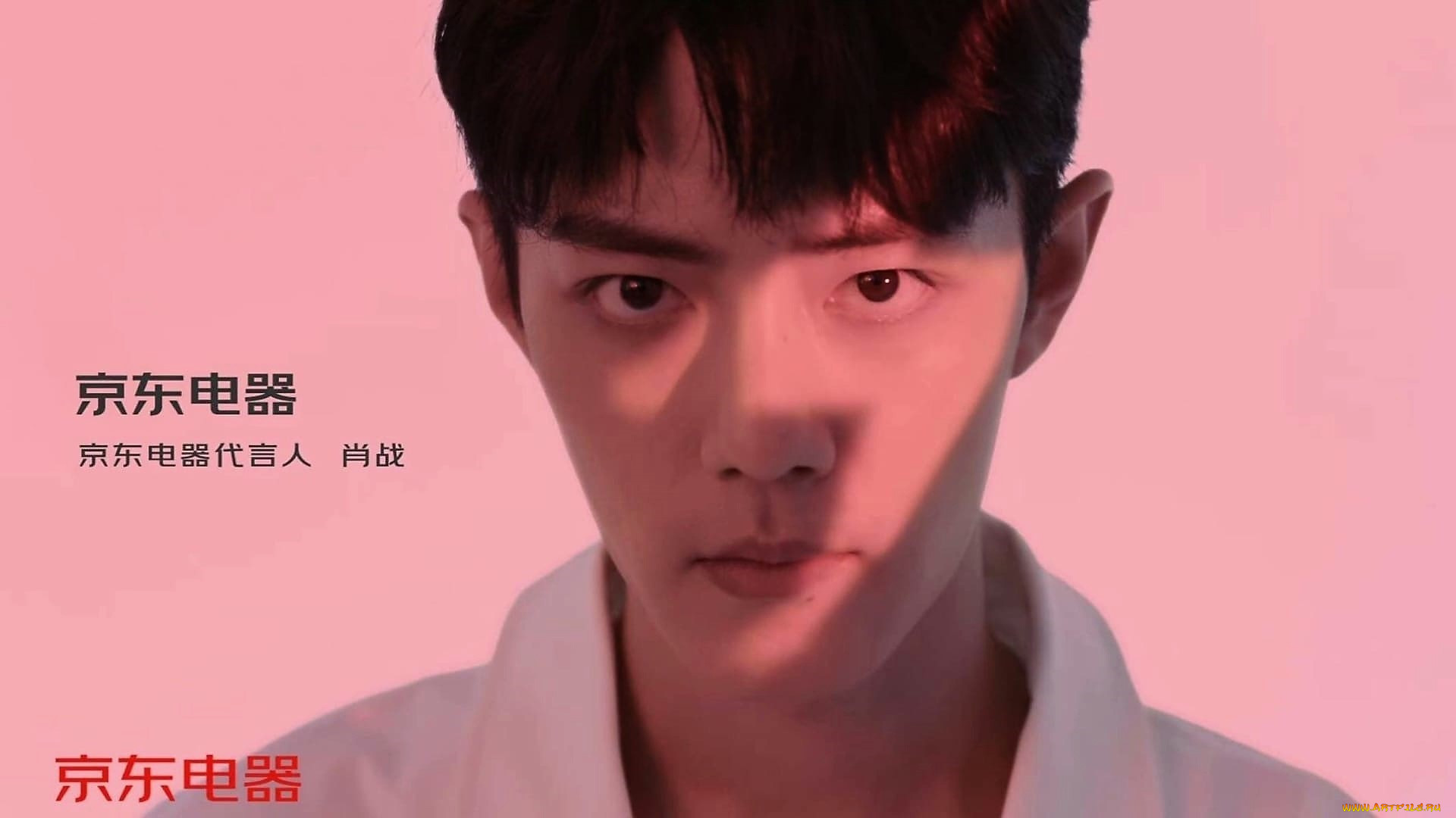 , xiao zhan, , 